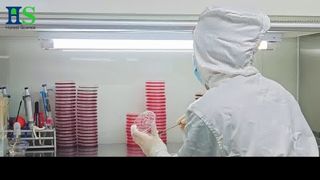 Serie de membranas de cáscara de huevo ELASEM®: la solución de materia prima para la salud y la belleza de las articulaciones